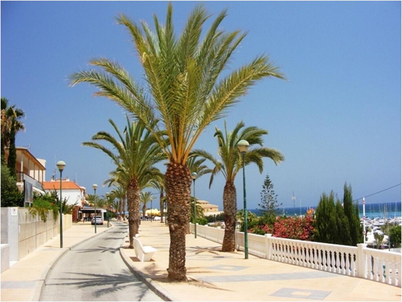 Torre De La Horadada - Modern And Comfortable 2 Bedroom Apartment Close To The Beach المظهر الخارجي الصورة